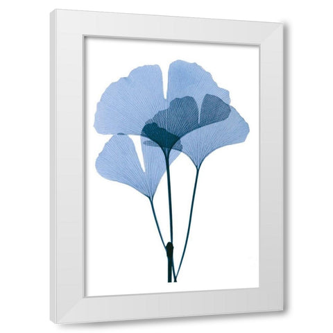 Get Growing I White Modern Wood Framed Art Print by ACEE
