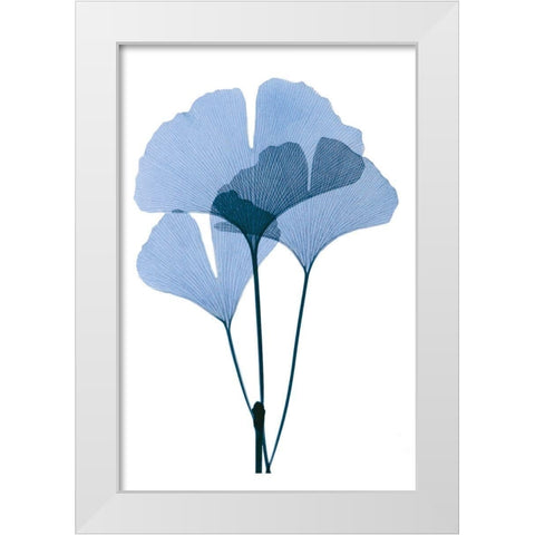 Get Growing I White Modern Wood Framed Art Print by ACEE