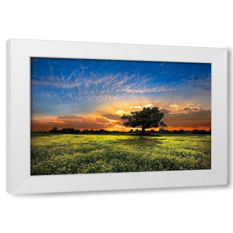 Shadows at Sunset White Modern Wood Framed Art Print by Celebrate Life Gallery