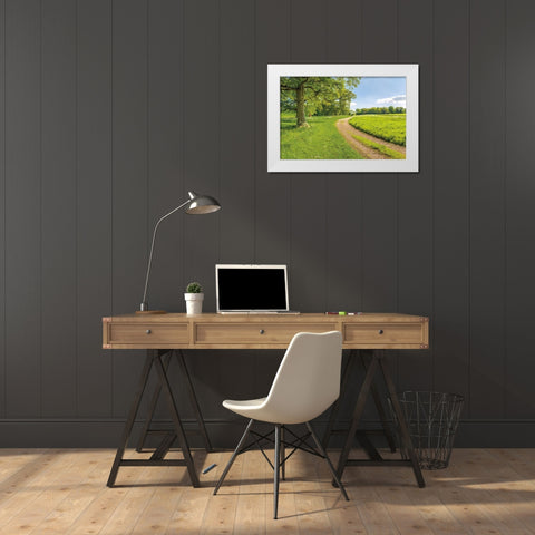 Greenest Pastures White Modern Wood Framed Art Print by Frank, Assaf