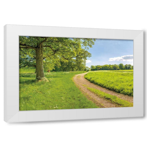 Greenest Pastures White Modern Wood Framed Art Print by Frank, Assaf