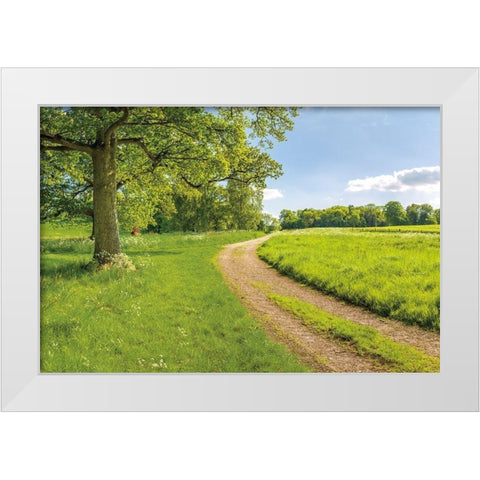 Greenest Pastures White Modern Wood Framed Art Print by Frank, Assaf