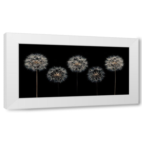 Make A Wish White Modern Wood Framed Art Print by Frank, Assaf