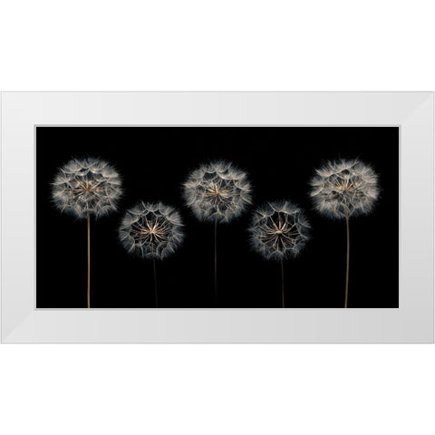 Make A Wish White Modern Wood Framed Art Print by Frank, Assaf
