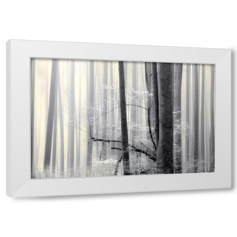 Still Silence White Modern Wood Framed Art Print by Pelkey, Marvin