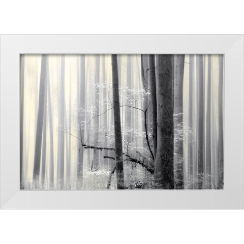 Still Silence White Modern Wood Framed Art Print by Pelkey, Marvin