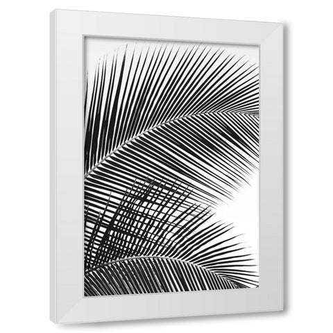 Tropical Fan White Modern Wood Framed Art Print by Frates, Dennis