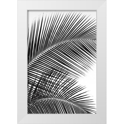 Tropical Fan White Modern Wood Framed Art Print by Frates, Dennis
