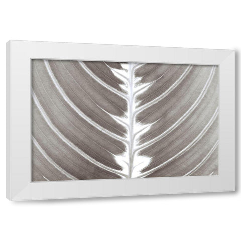 Natures Beauty White Modern Wood Framed Art Print by Frank, Assaf