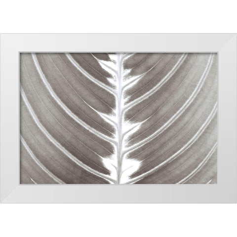 Natures Beauty White Modern Wood Framed Art Print by Frank, Assaf
