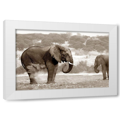 Bath Time White Modern Wood Framed Art Print by Llovet, Jorge