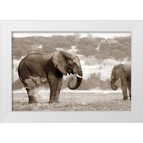 Bath Time White Modern Wood Framed Art Print by Llovet, Jorge