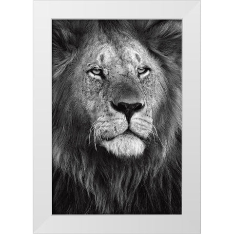 Pride White Modern Wood Framed Art Print by Ortega, Xavier