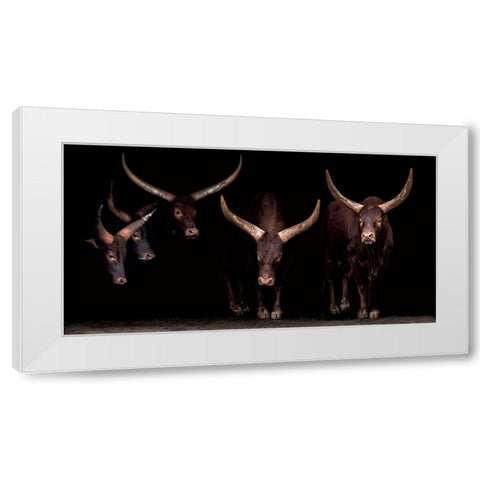 Syndicate White Modern Wood Framed Art Print by Ortega, Xavier