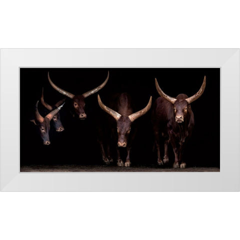 Syndicate White Modern Wood Framed Art Print by Ortega, Xavier