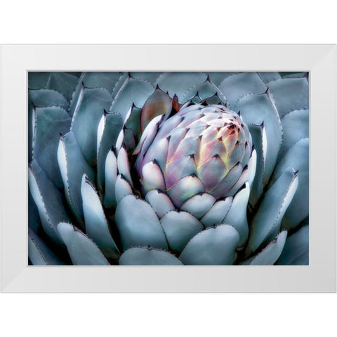 Blue Star White Modern Wood Framed Art Print by Frates, Dennis