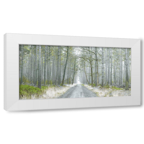 Going Places White Modern Wood Framed Art Print by Frank, Assaf