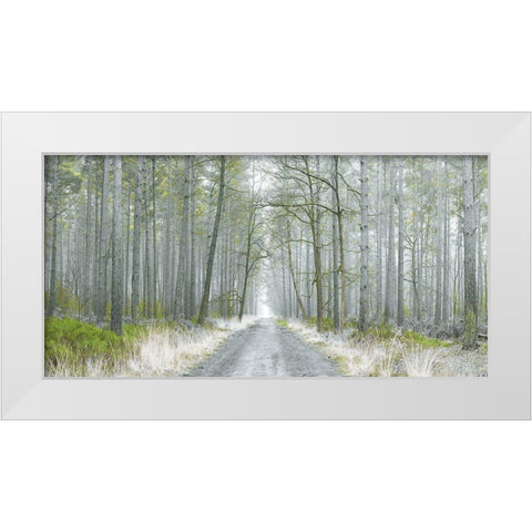 Going Places White Modern Wood Framed Art Print by Frank, Assaf