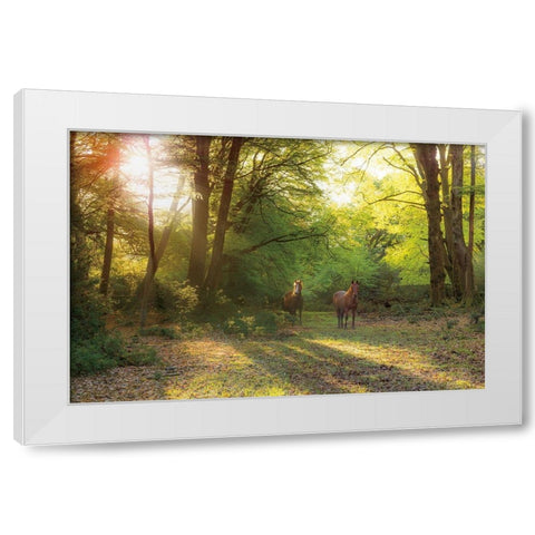Good Morning White Modern Wood Framed Art Print by Frank, Assaf