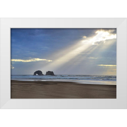 A Break of Sunshine White Modern Wood Framed Art Print by Frates, Dennis