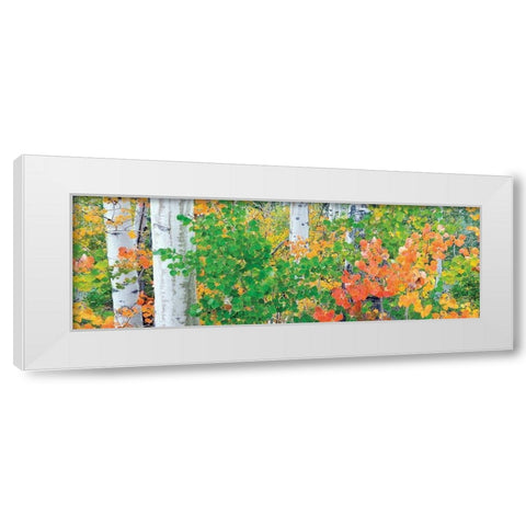 Forest Colors White Modern Wood Framed Art Print by Frates, Dennis