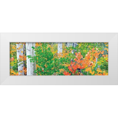 Forest Colors White Modern Wood Framed Art Print by Frates, Dennis
