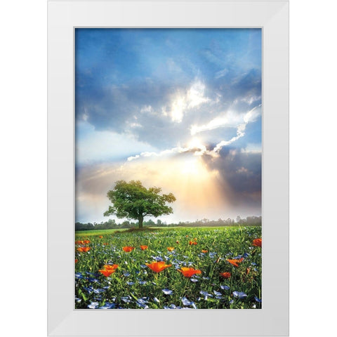 Glowing Sunset After the Rain White Modern Wood Framed Art Print by Celebrate Life Gallery