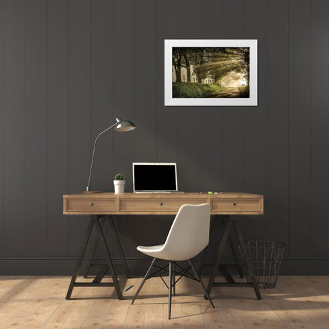 All Aglow White Modern Wood Framed Art Print by Burt, D.