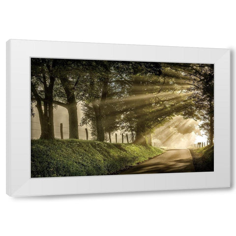 All Aglow White Modern Wood Framed Art Print by Burt, D.