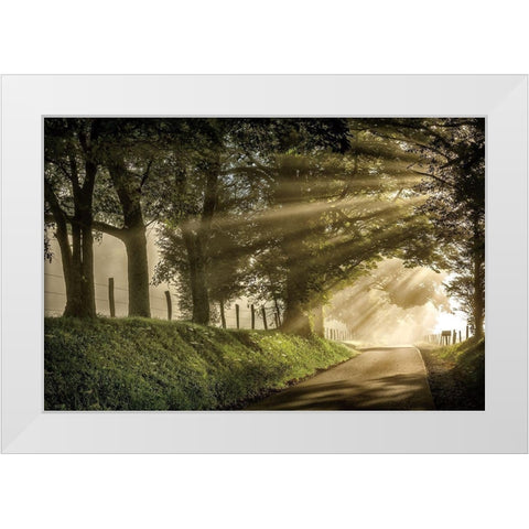 All Aglow White Modern Wood Framed Art Print by Burt, D.
