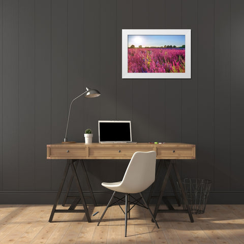 Delphinium Field White Modern Wood Framed Art Print by Frank, Assaf