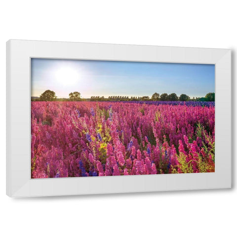 Delphinium Field White Modern Wood Framed Art Print by Frank, Assaf
