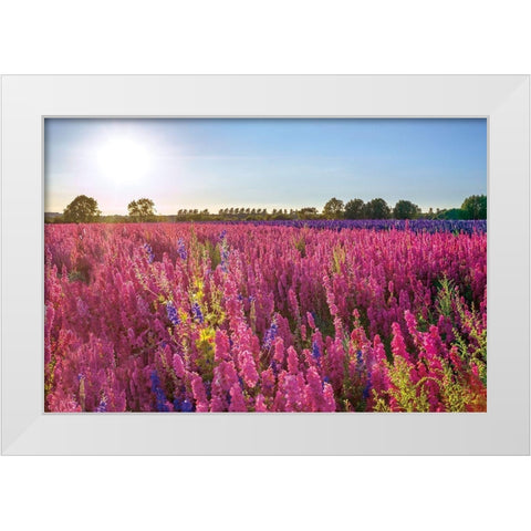 Delphinium Field White Modern Wood Framed Art Print by Frank, Assaf