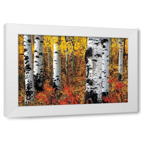 Band of Brothers White Modern Wood Framed Art Print by Smith, Ken