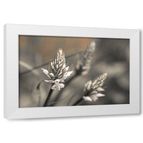 Up Close White Modern Wood Framed Art Print by Frank, Assaf