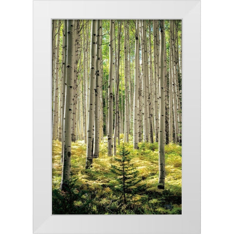 Small and Tall White Modern Wood Framed Art Print by Small and Tall