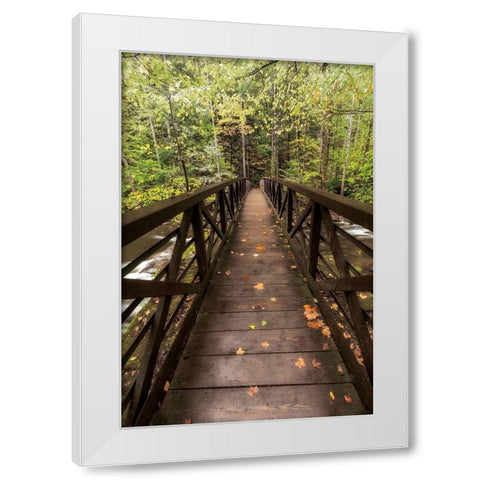 Autumns Bridge White Modern Wood Framed Art Print by Burt, D.
