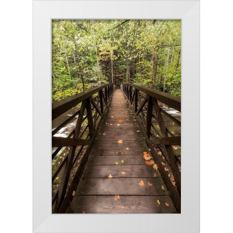 Autumns Bridge White Modern Wood Framed Art Print by Burt, D.