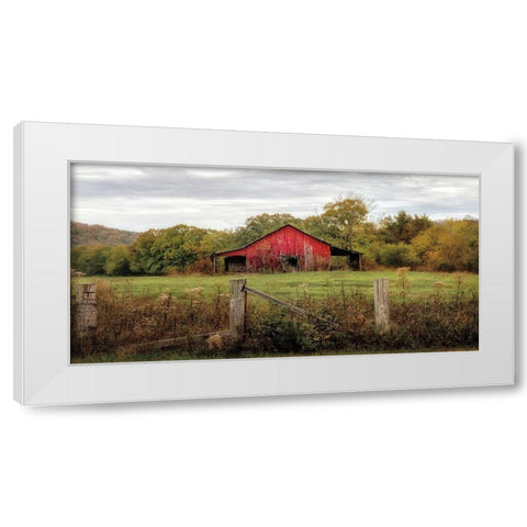 Down On The Farm White Modern Wood Framed Art Print by Burt, D.
