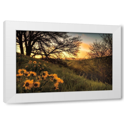 Sunrise Silhouette White Modern Wood Framed Art Print by Burt, D.