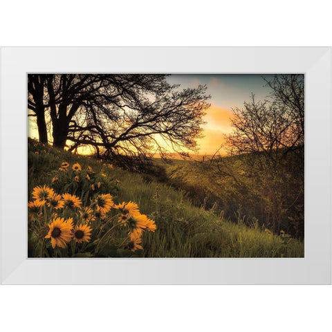 Sunrise Silhouette White Modern Wood Framed Art Print by Burt, D.