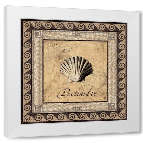 Shell Works II White Modern Wood Framed Art Print by Panossian, Paul