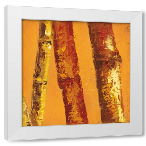 Bamboo Columbia II White Modern Wood Framed Art Print by Quintero, Tita