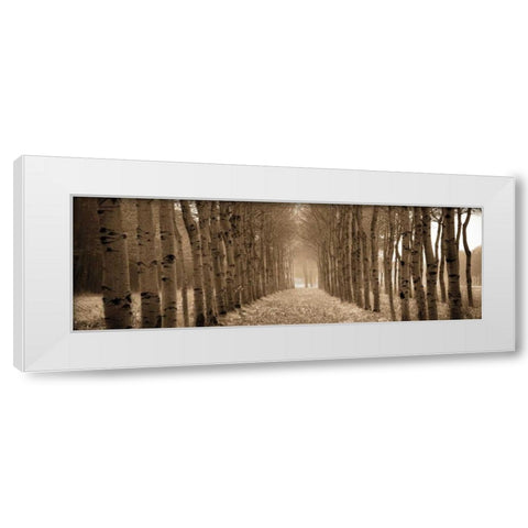 The Shimmering Forest White Modern Wood Framed Art Print by Ross, Heather