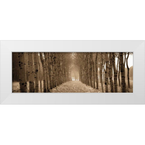 The Shimmering Forest White Modern Wood Framed Art Print by Ross, Heather