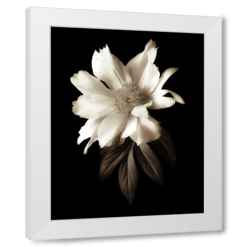 Portrait in White I White Modern Wood Framed Art Print by Rehner, John