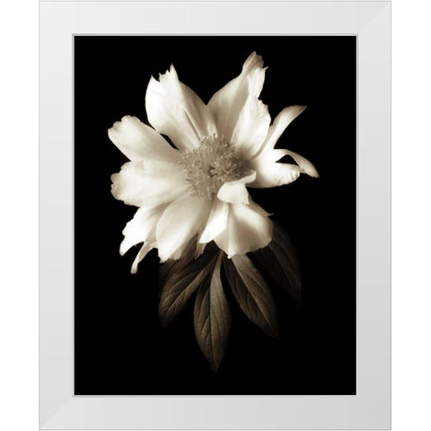 Portrait in White I White Modern Wood Framed Art Print by Rehner, John