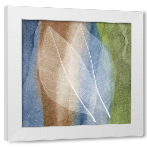 Leaf Structure I White Modern Wood Framed Art Print by Rehner, John