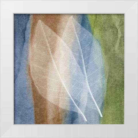 Leaf Structure I White Modern Wood Framed Art Print by Rehner, John