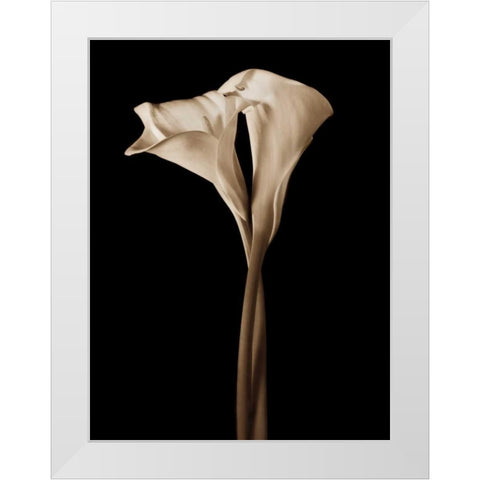 The Embrace White Modern Wood Framed Art Print by Rehner, John